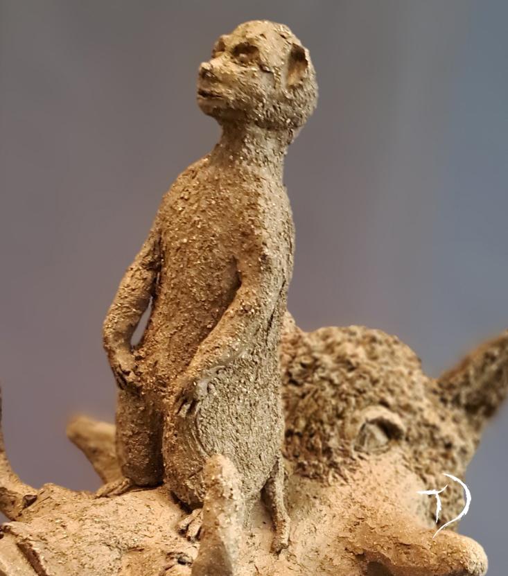 timon-pumba-03